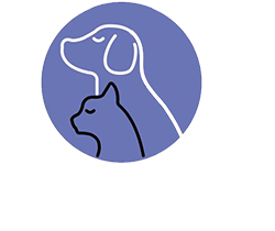 Pet & More Veteriner Kliniği